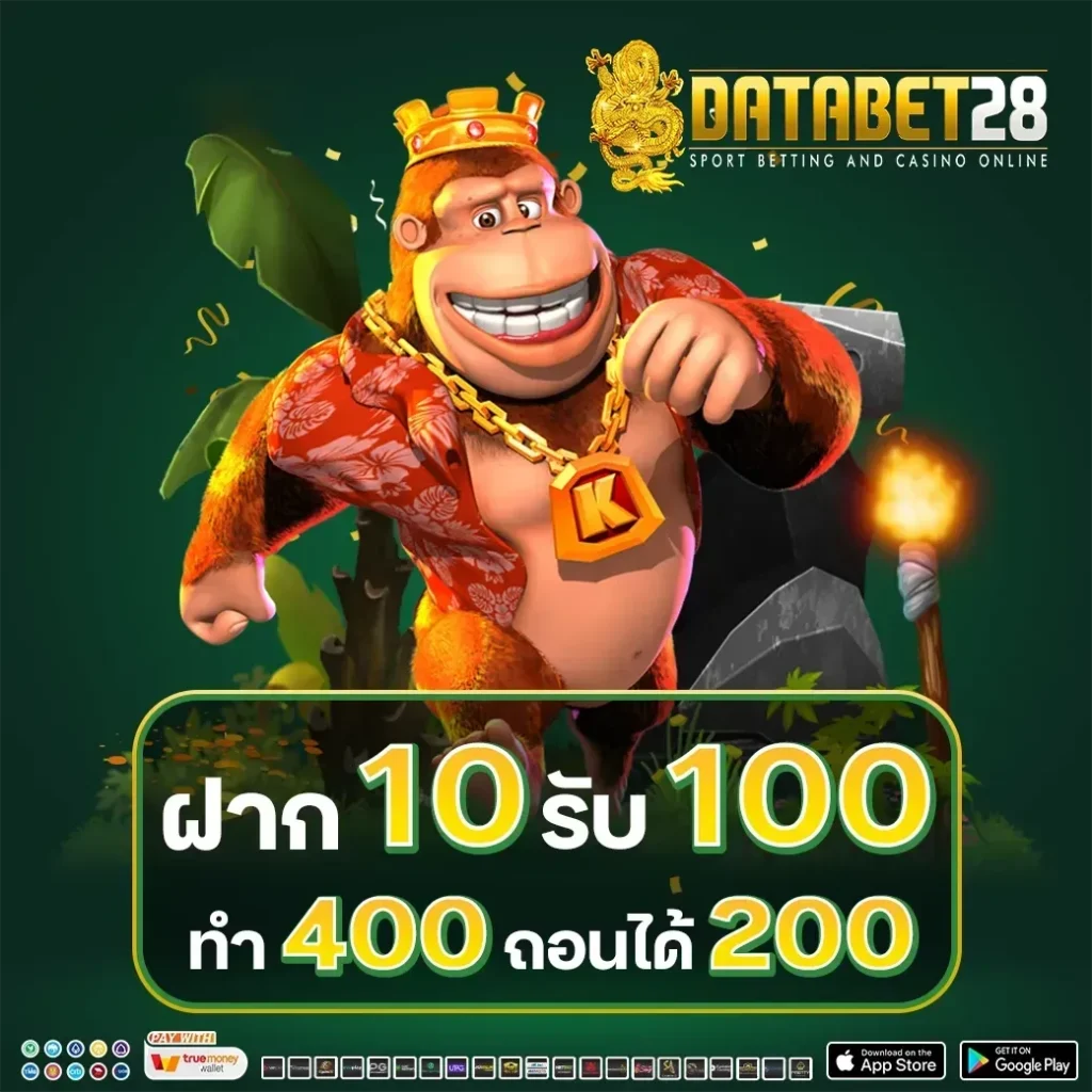 databet28